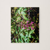 Californische bosbloem | Beardtongue Legpuzzel (Verticaal)