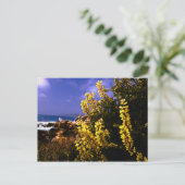 Californische Briefkaart aan de Kustkust (Staand voorkant)