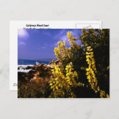 Californische Briefkaart aan de Kustkust (Voorkant / Achterkant)