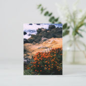 Californische Briefkaart Kustflora (Staand voorkant)