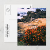Californische Briefkaart Kustflora (Voorkant / Achterkant)