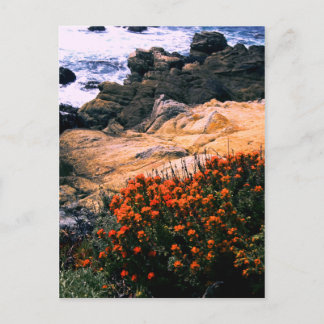 Californische Briefkaart Kustflora