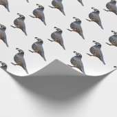 Californische cartoon cadeaupapier (Hoek)