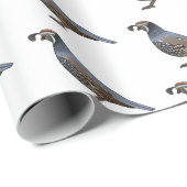 Californische cartoon cadeaupapier (Rol Hoek)