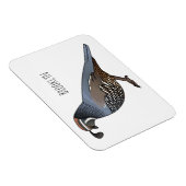 Californische cartoon magneet (Rechterzijde)