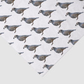 Californische cartoon tissuepapier (Detail)