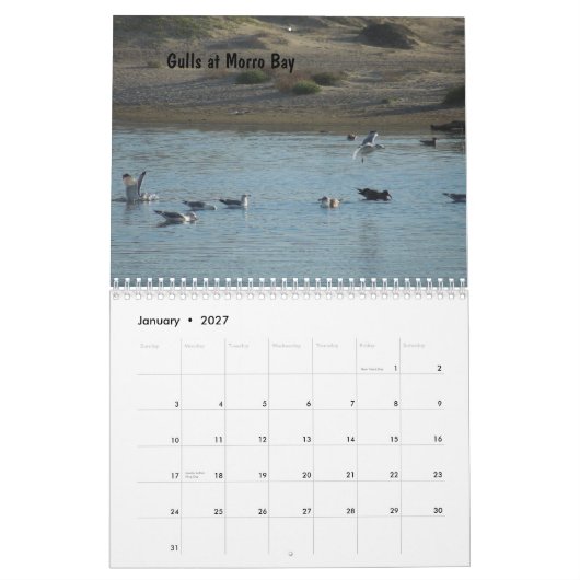 Californische centrale kustkalender 2013 kalender (Jan 2027)
