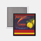 Californische citroenen  magneet (Voorkant / Achterkant)