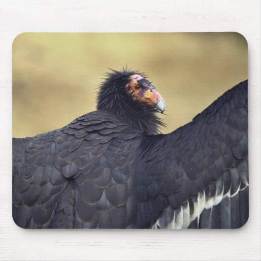 Californische condor muismat (Voorkant)