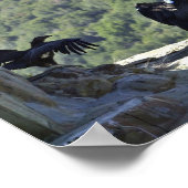 Californische condors poster (Hoek)