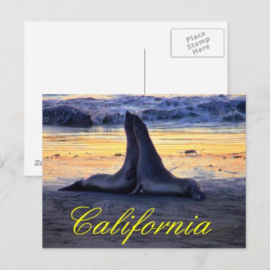 Californische fauna briefkaart (Voorkant / Achterkant)