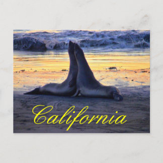 Californische fauna briefkaart