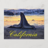 Californische fauna briefkaart (Voorkant)
