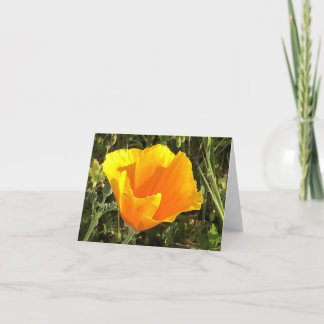 Californische Gouden Papaver - 1 Bedankkaart