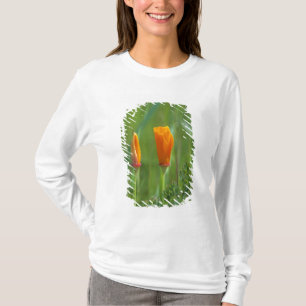 Californische gouden papavers in een groen veld t-shirt