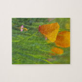 Californische gouden papies in een groen veld legpuzzel (Horizontaal)