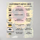 Californische inheemse bijen poster (Voorkant)