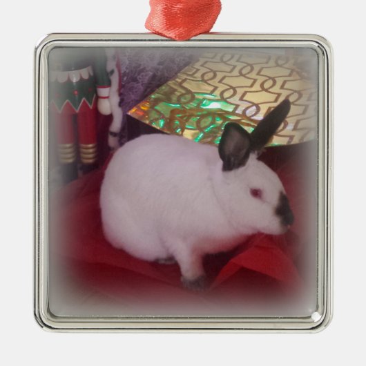 Californische Kerstmis Metalen Ornament (Voorkant)