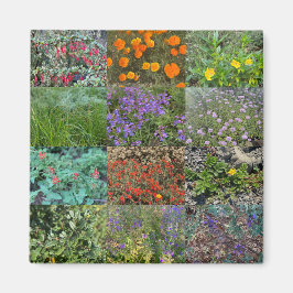 Californische kleuren 2020 magneet