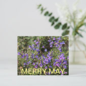 Californische kleuren: Merry May Briefkaart (Staand voorkant)