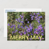 Californische kleuren: Merry May Briefkaart (Voorkant / Achterkant)