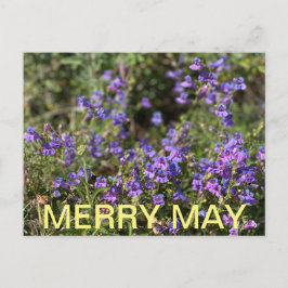 Californische kleuren: Merry May Briefkaart