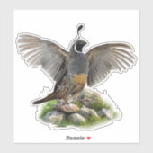 Californische kuifkwartel sticker (Vel)