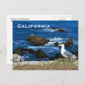 Californische kust, Briefkaart (Voorkant / Achterkant)