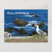 Californische kust, Briefkaart (Voorkant)
