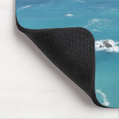 Californische kust muismat (Hoek)