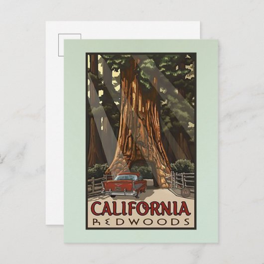  Californische kustmammoetreizen Briefkaart (Voorkant / Achterkant)