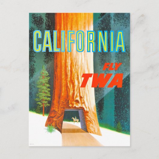  Californische kustmammoetreizen Briefkaart (Voorkant)