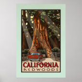  Californische kustmammoetreizen Poster (Voorkant)