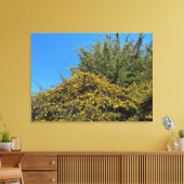 Californische lente canvas afdruk (Insitu (Woonkamer))