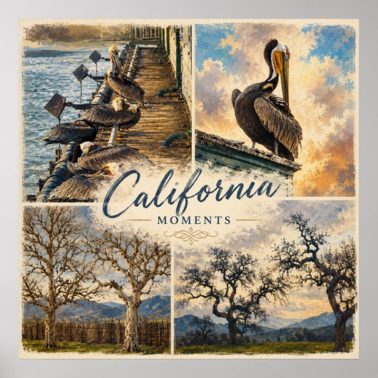 Californische Momenten Poster (Voorkant)