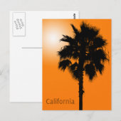 Californische palm briefkaart (Voorkant / Achterkant)