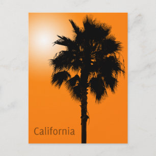 Californische palm briefkaart