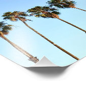 Californische palmbomen op Golden Hour Foto Afdruk (Hoek)