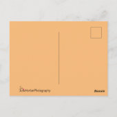 Californische palmbomen op het strand op zonsonder briefkaart (Achterkant)