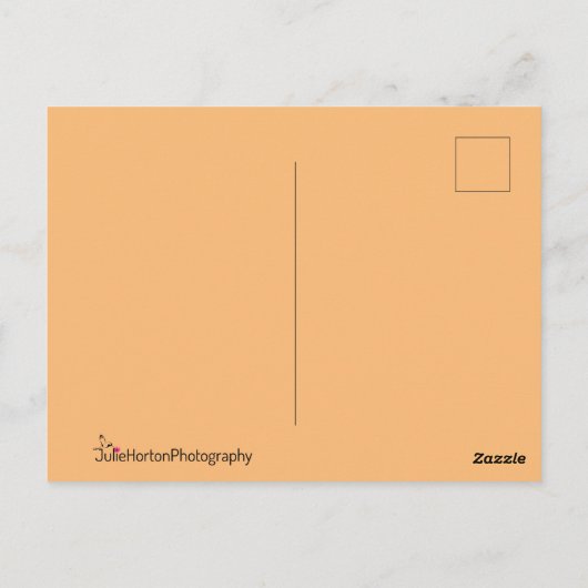 Californische palmbomen op het strand op zonsonder briefkaart (Achterkant)