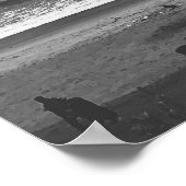 Californische palmbomen poster (Hoek)