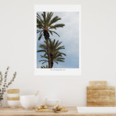 Californische palmbomen poster (Keuken)
