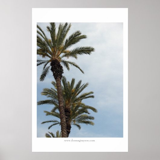 Californische palmbomen poster (Voorkant)