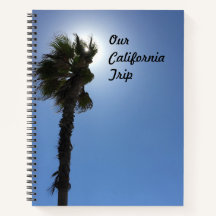 Californische palmboom