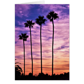 Californische palmboom zonsondergang