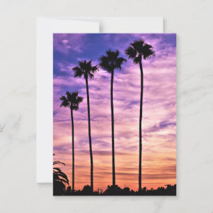 Californische palmboom zonsondergang briefkaart