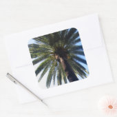 Californische palmboombeugel Aangepaste Stickers (Envelop)