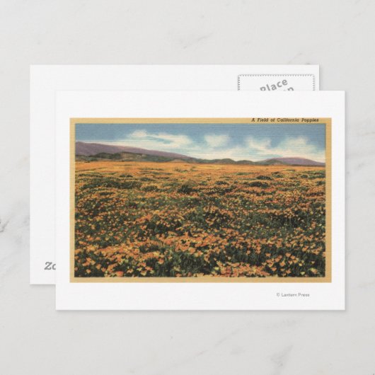 Californische pap briefkaart (Voorkant / Achterkant)