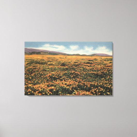 Californische pap canvas afdruk (Voorkant)