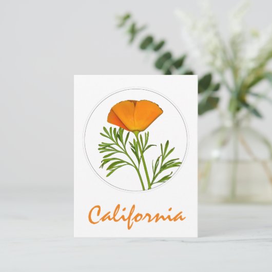 Californische pap in een Cirkel, 'Californische' t Briefkaart (Staand voorkant)